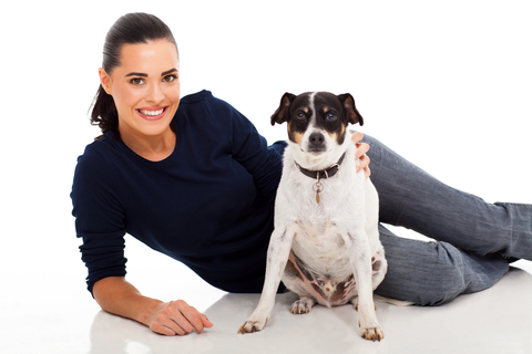 Investment Properties - Should You Allow Pets in Rental Properties?